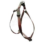 Harness Step In Terra Cotta 24-38