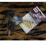 Kong Naturals Straw Cone and Feathers Cat Toy