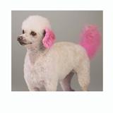 Top Performance Pet Hair Dye Gel Screaming Pink