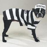 Casual Canine Prison Pooch Dog Costume Large