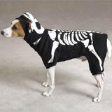 Dog Costume Glow Bones XSmall