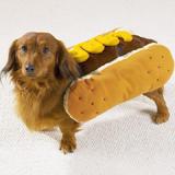 Dog Costume Hot Dog Mustard Medium