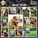 Arf Art Dog Sticker Pack Border Terrier
