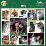 Arf Art Pet Sticker Pack Cats
