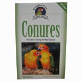 Guide to Caring for Conures