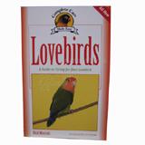 Guide to Caring for Lovebirds