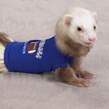 Biddie Buddies Ferret Tee Blue Medium