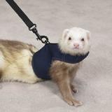 Biddie Buddies Ferret Harness & Lead Blue Large