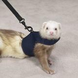 Biddie Buddies Ferret Harness & Lead Blue Medium