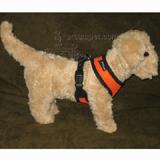 Comfort Control Dog Harness Orange XLarge