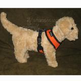 Comfort Control Dog Harness Orange Large