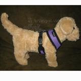 Comfort Control Dog Harness Purple Small