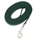 Dog Training Lead Green 15 ft