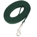 Dog Training Lead Green 50 ft