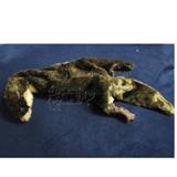GoDog&trade; Roadkill Otter
