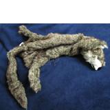 GoDog&trade; Roadkill Wolf