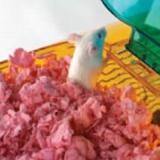 Carefresh Colors&trade; Litter 10 Liter Pink Pet Bedding