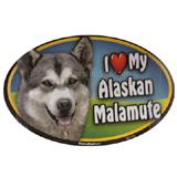 Dog Breed Image Magnet Oval Alaskan Malamute