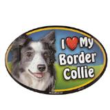 Dog Breed Image Magnet Oval Border Collie