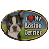 Dog Breed Image Magnet Oval Boston Terrier