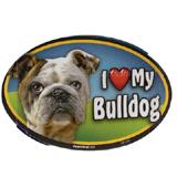 Dog Breed Image Magnet Oval Bulldog