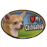 Dog Breed Image Magnet Oval Chihuahua Apple headed