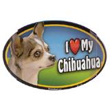 Dog Breed Image Magnet Oval Chihuahua Multi-colored