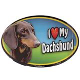 Dog Breed Image Magnet Oval Dachshund