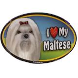 Dog Breed Image Magnet Oval Maltese