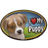 Dog Breed Image Magnet Oval Puppy