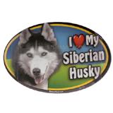 Dog Breed Image Magnet Oval Siberian Husky