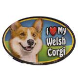 Dog Breed Image Magnet Oval Welsh Corgi