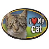 Cat Image Magnet Oval Tabby