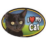 Cat Image Magnet Oval Black Cat