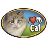 Cat Image Magnet Oval Maine Coon