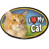 Cat Image Magnet Oval Orange Cat