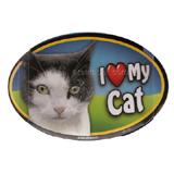 Cat Image Magnet Oval Black and White Cat