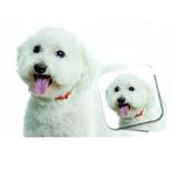 Mouse Pad and Coaster Set Bicon Frise