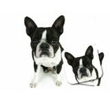 Mouse Pad and Coaster Set Boston Terrier