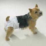 Doggy Diapers Med 10 Pack