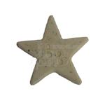 Bright Bites Peppermint Medium Single Dog Dental Treat