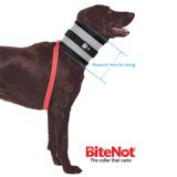 BiteNot Dog Collar Size 3.5 Cone Alternative