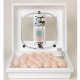 Little Giant Forced Air Incubator 