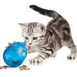 FunKitty Egg-Cersizer Cat Toy Treat Dispenser