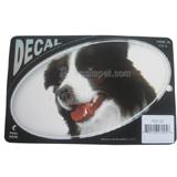 Oval Vinyl Dog Decal Border Collie Picture