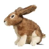 Hyper Product Rabbit Soft Dog Toy  