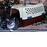 Doskocil Kennel Cab Fashion 23x15x12 Pet Carrier