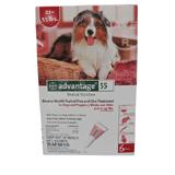 Bayer Advantage Dog 21-55 pound 6-pack Flea Control