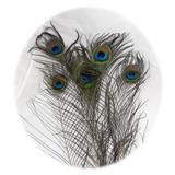 Natural Peacock Feather Cat Toy