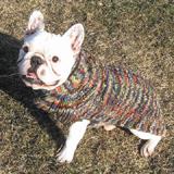 Handmade Dog Sweater Wool Multi-Colored Shawl XXSmall   